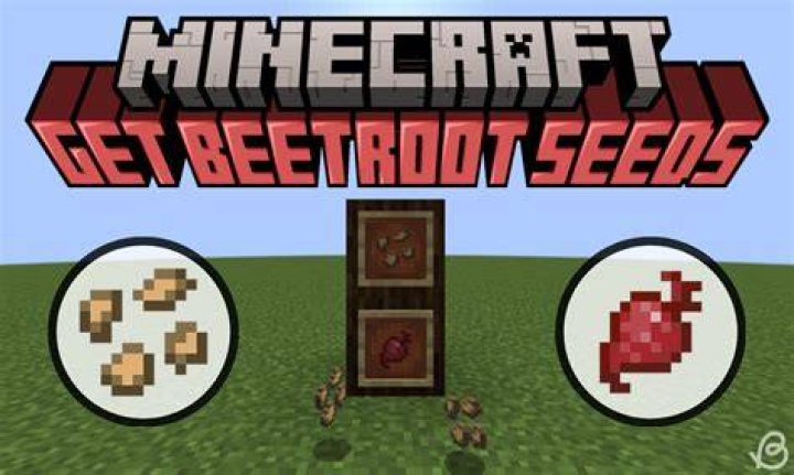 Minecraft how to get beetroot seeds