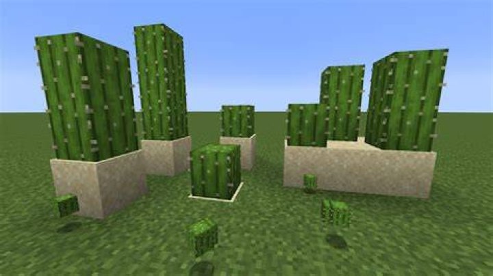 Minecraft how to get cactus green