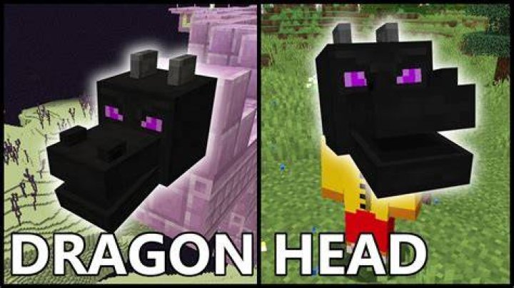 Minecraft how to get dragon head