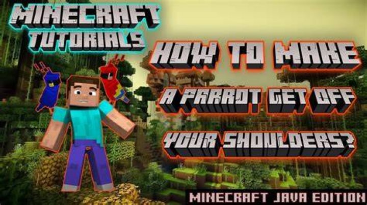 Minecraft how to get parrot off shoulder