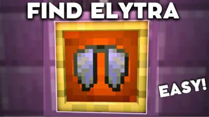 Minecraft how to get the elytra