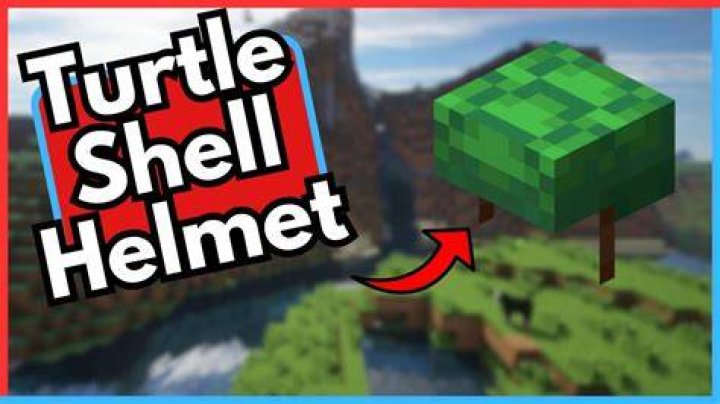 Minecraft how to get turtle helmet