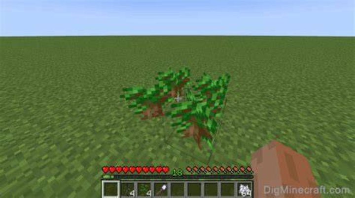 Minecraft how to grow dark oak
