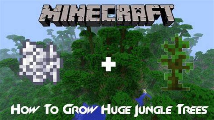 Minecraft how to grow jungle trees