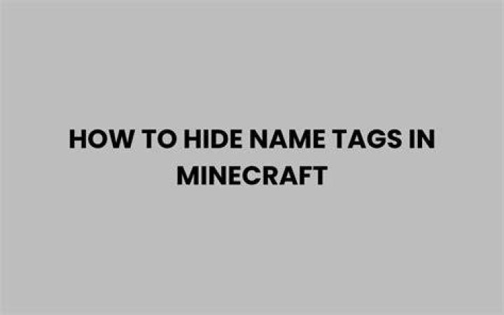 Minecraft how to hide name tags