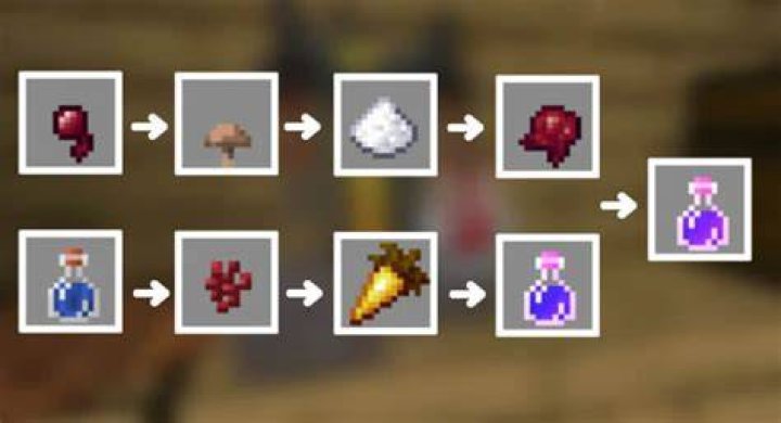Minecraft how to make a invis potion