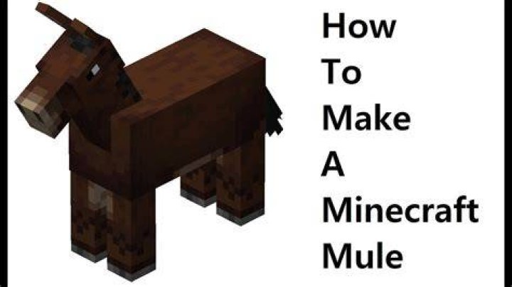 Minecraft how to make a mule