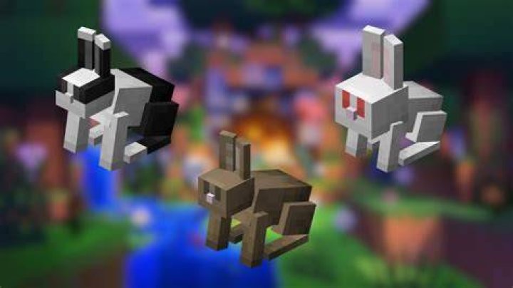 Minecraft how to tame a bunny