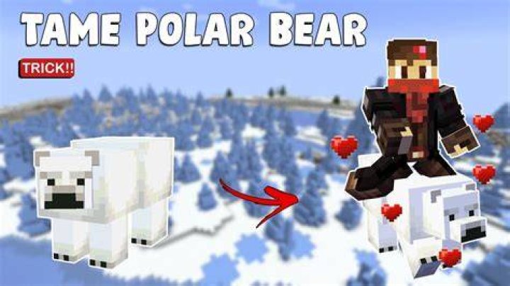 Minecraft how to tame polar bear