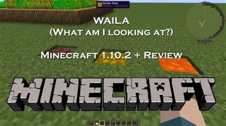 Minecraft what am i looking at mod