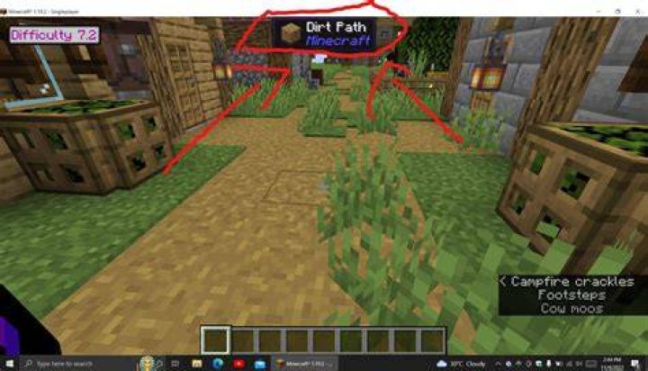 Minecraft what am i looking at