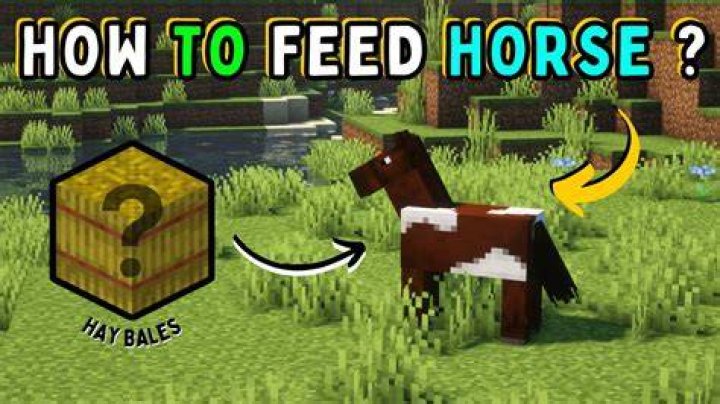 Minecraft what do you feed horses