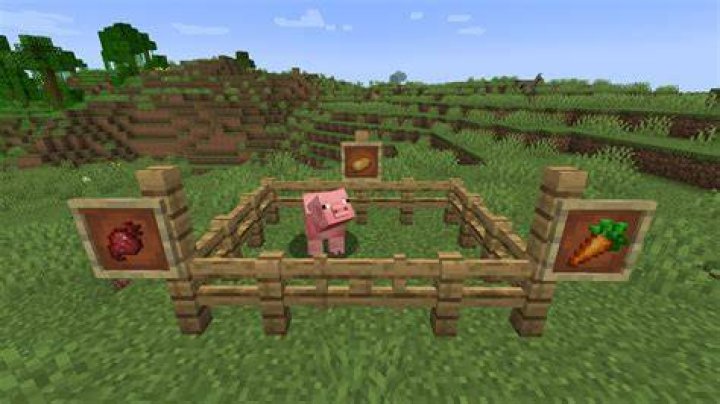 Minecraft what do you feed pigs