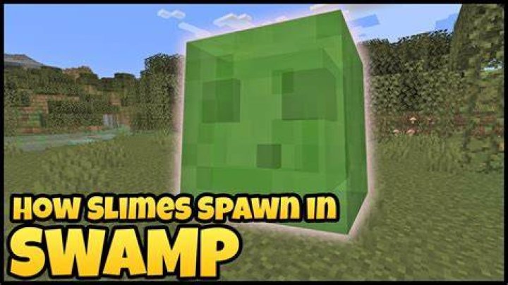 Minecraft what level do slimes spawn