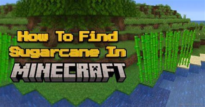 Minecraft where to find sugar cane