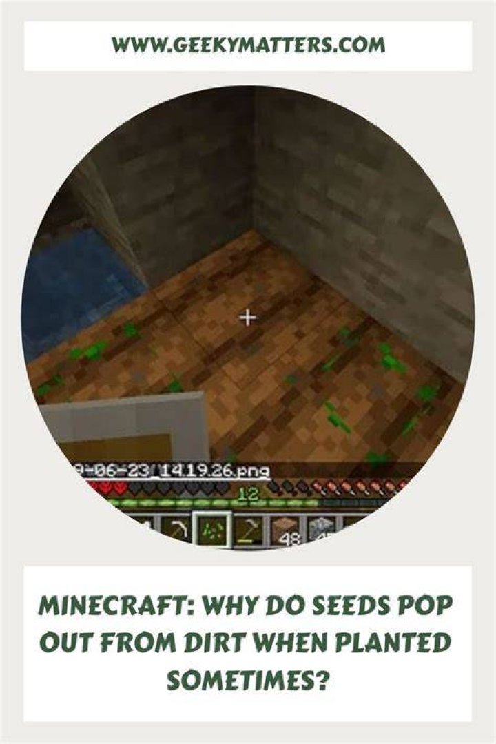 Minecraft why do seeds pop out
