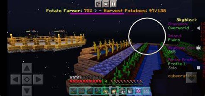 Minecraft why wont my pumpkins grow