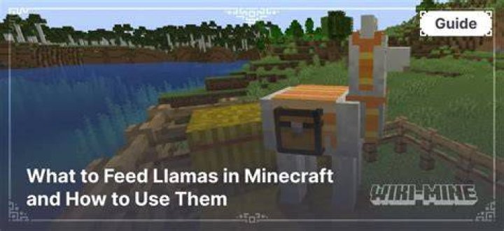 What are llamas used for in minecraft