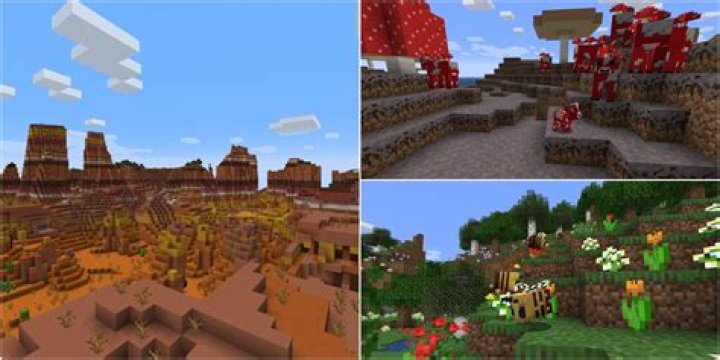 What are the rarest biomes in minecraft