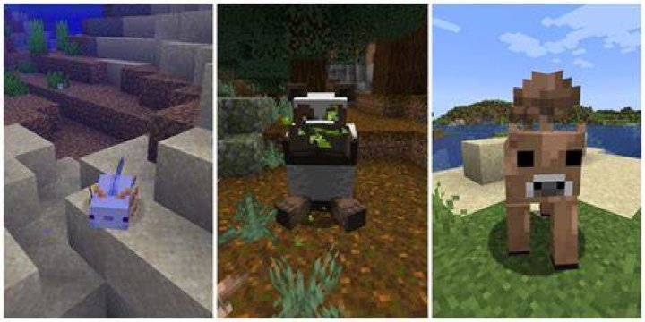 What are the rarest mobs in minecraft