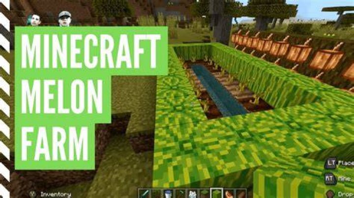 What can melons grow on minecraft
