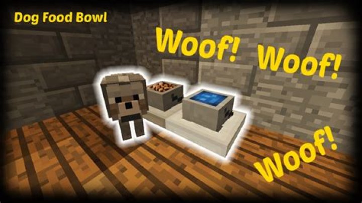 What can you feed dogs in minecraft
