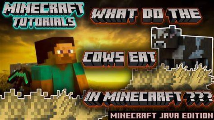 What do cow eat in minecraft