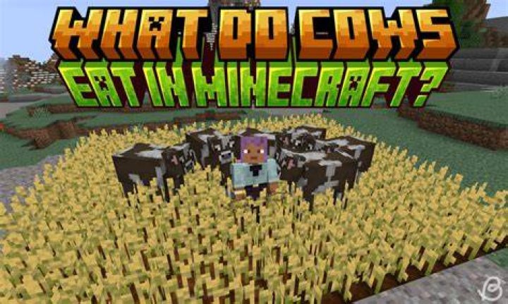 What do cows eat in minecraft pe