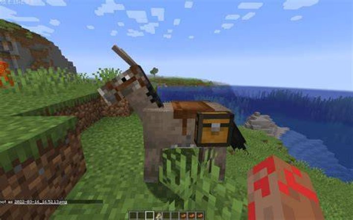 What do donkey eat in minecraft