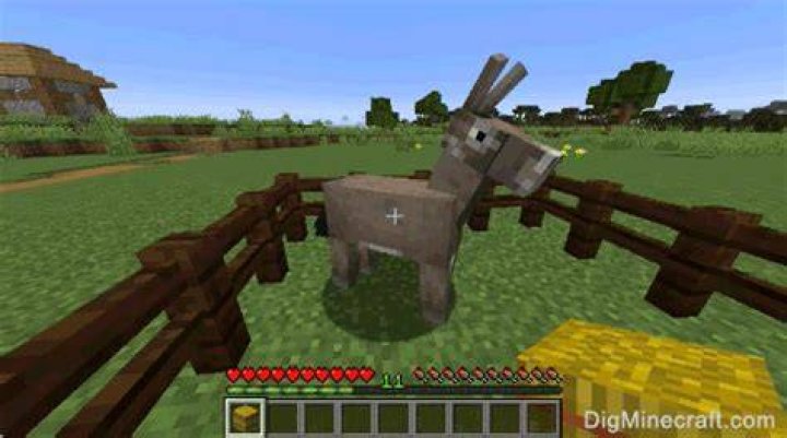 What do donkeys eat on minecraft
