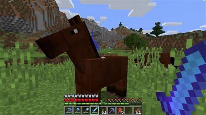 What do horses drop in minecraft