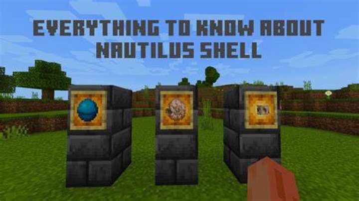 What do nautilus shells do in minecraft