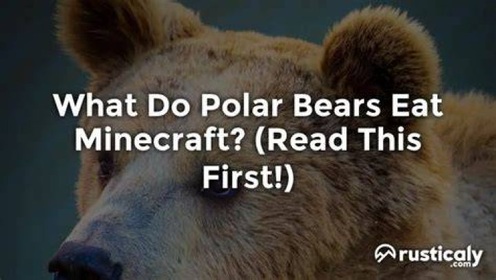 What do polar bears eat in minecraft
