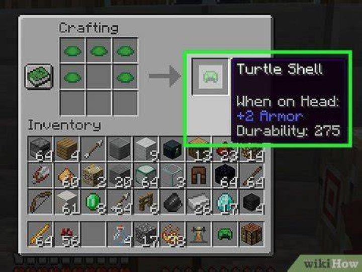 What do scutes do in minecraft