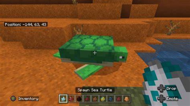 What do sea turtles eat in minecraft