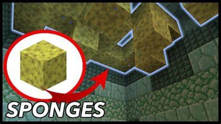 What do sponges do in minecraft