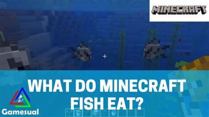 What do tropical fish eat in minecraft