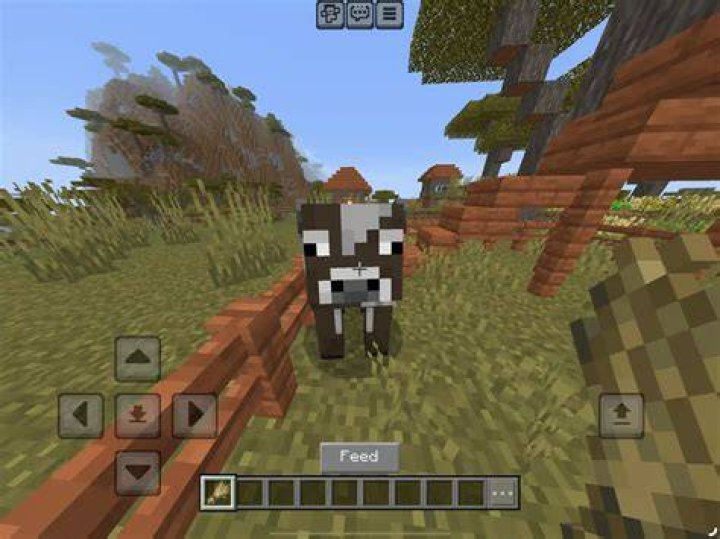 What do you feed cows in minecraft