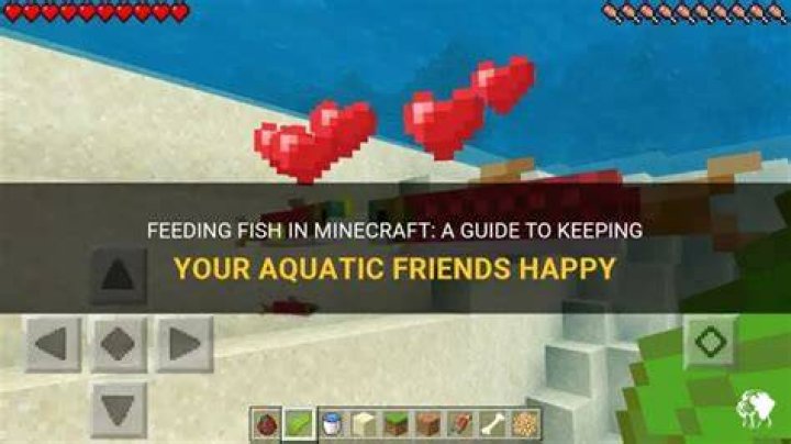 What do you feed fish in minecraft