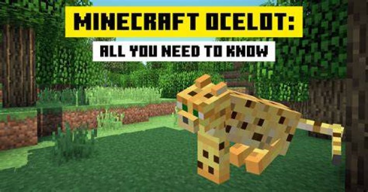 What do you feed ocelots in minecraft