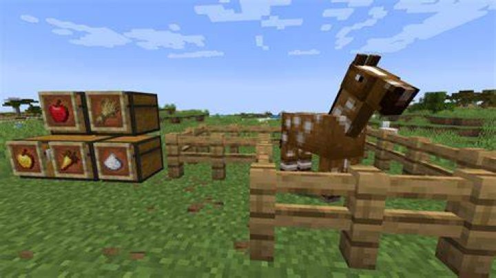 What does a horse eat in minecraft