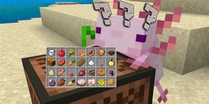 What does an axolotl eat in minecraft