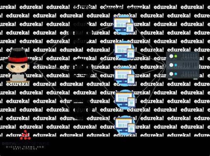 What does ddos mean in minecraft