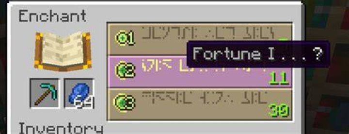 What does fortune 1 do in minecraft