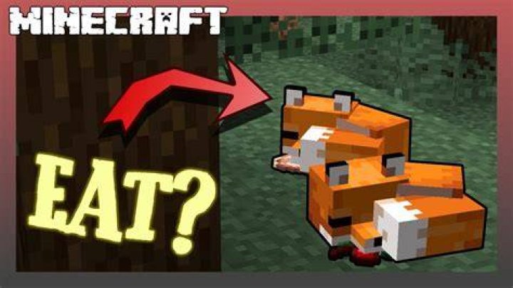 What does foxes eat in minecraft