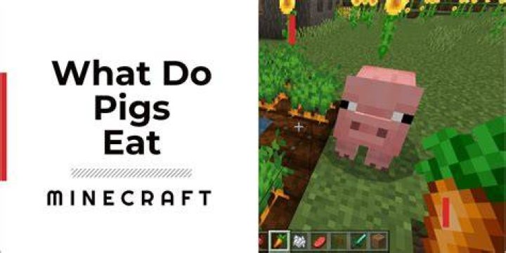 What does pigs eat in minecraft