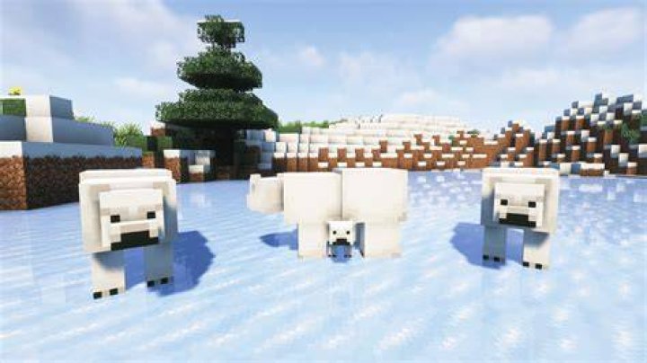 What does polar bears eat in minecraft