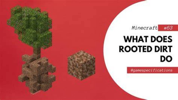 What does rooted dirt do in minecraft