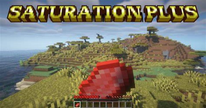 What does saturation do in minecraft