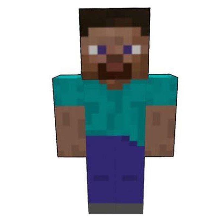 What does steve look like in minecraft
